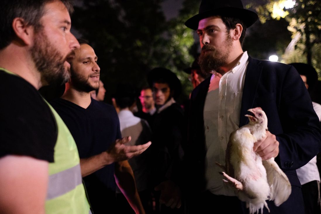 Activists and Orthodox Jews face off in Crown Heights over the annual Kaporos festival